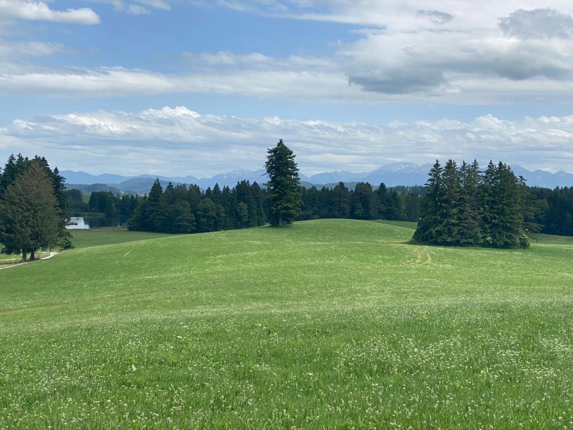"Allgaeu-Herzl" Alpenchalet Fuer Zwei Ruckholz Exteriér fotografie